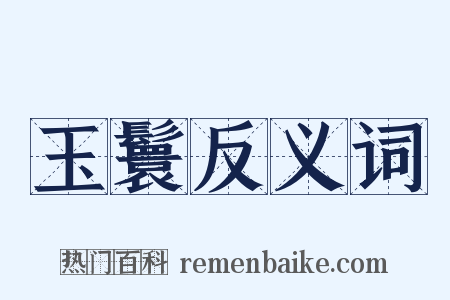 玉鬟反义词是什么意思的图片